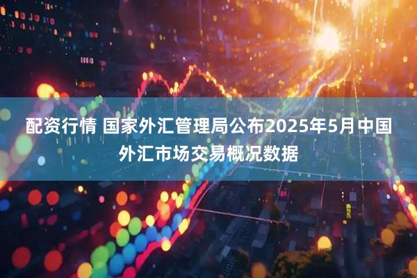 配资行情 国家外汇管理局公布2025年5月中国外汇市场交易概况数据