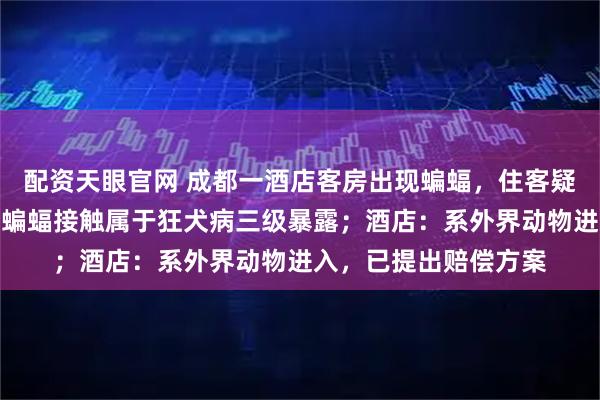 配资天眼官网 成都一酒店客房出现蝙蝠，住客疑被咬伤，医生告知与蝙蝠接触属于狂犬病三级暴露；酒店：系外界动物进入，已提出赔偿方案
